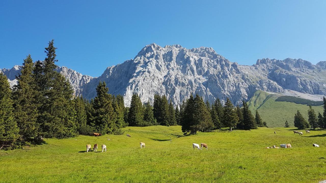 Hotel Alpspitz B&B Грайнау Экстерьер фото